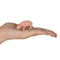 Besttoy - Ferkel - Spielfigur - Bild 3
