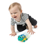 Baby Einstein™ - Rasselauto - Neptun, die Schildkröte - Curious Car Neptune™ - Oball™ - Bild 3