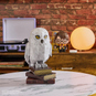 4D Build - Harry Potter - Schnee-Eule Hedwig - Bild 3
