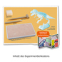Nachtleuchtender T-REX - Mitbring-Experimente - Bild 3