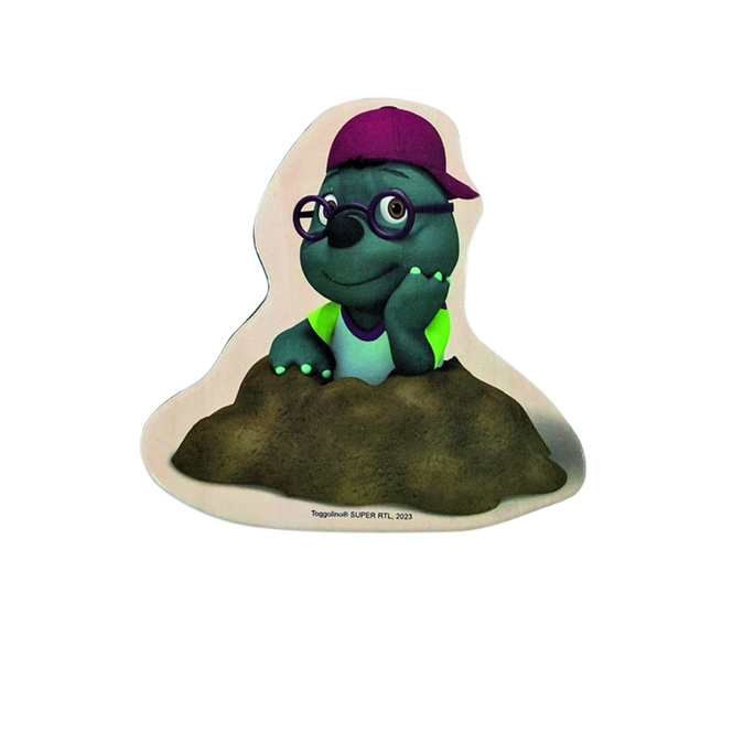 Toggolino - Magnet Set