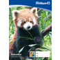 Pelikan Zeichenblock A4 20 Blatt, TCF-100g-m² - Bild 4