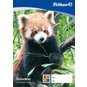 Pelikan Zeichenblock A3 20 Blatt, TCF-100g-m² - Bild 4