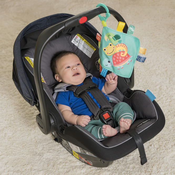 Bright Starts™ - Kuscheltuch - Fuzzy Feelies™