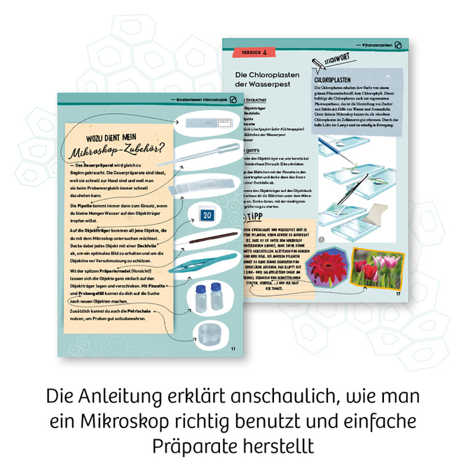 Entdecker-Mikroskop - Experimentierkasten