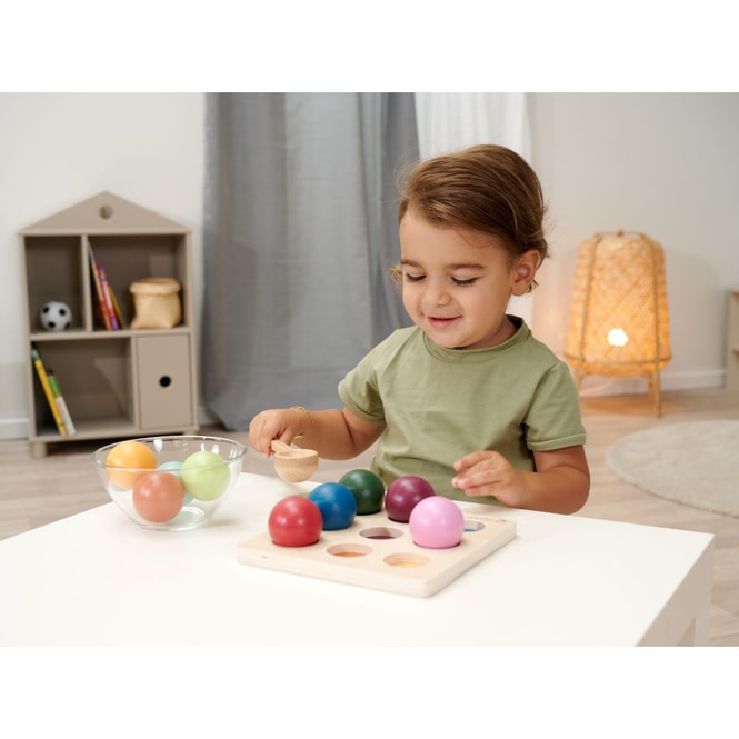 Eichhorn - Montessori - Sortierkugeln