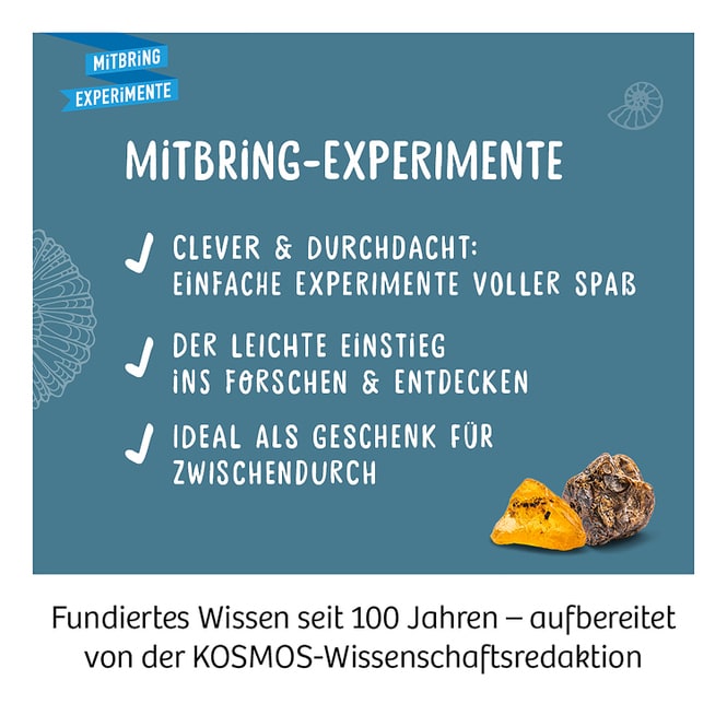 Fossilien - Ausgrabungs-Set - Mitbring-Experimente