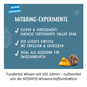 Fossilien - Ausgrabungs-Set - Mitbring-Experimente - Bild 6