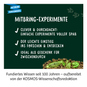 Nachtleuchtender T-REX - Mitbring-Experimente - Bild 6