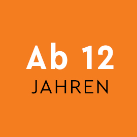 LEGO Sets für Kinder ab 12 Jahre